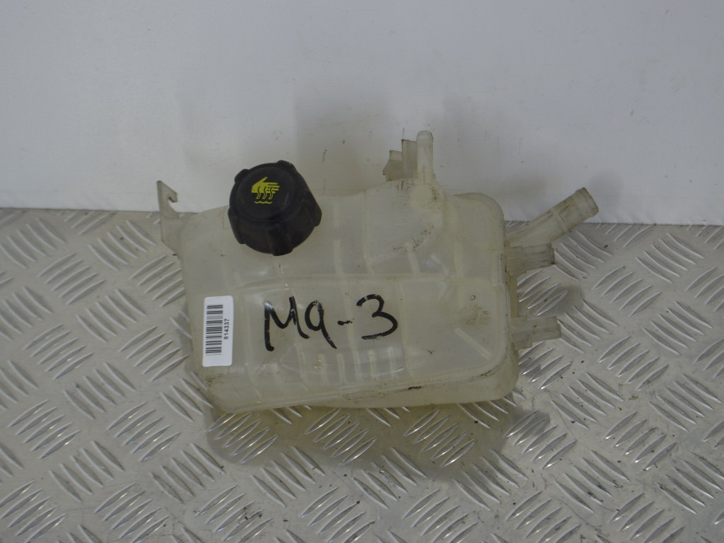 Бачок расширительный