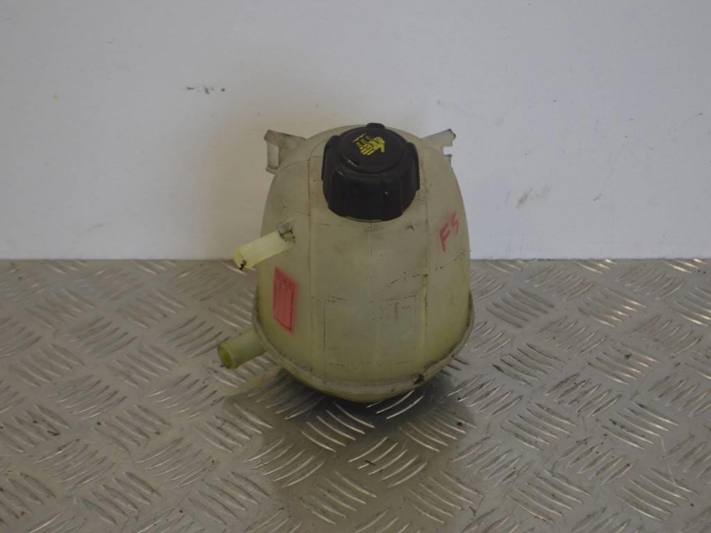 Бачок расширительный Renault Scenic 1 (1996-2003) 8200060424