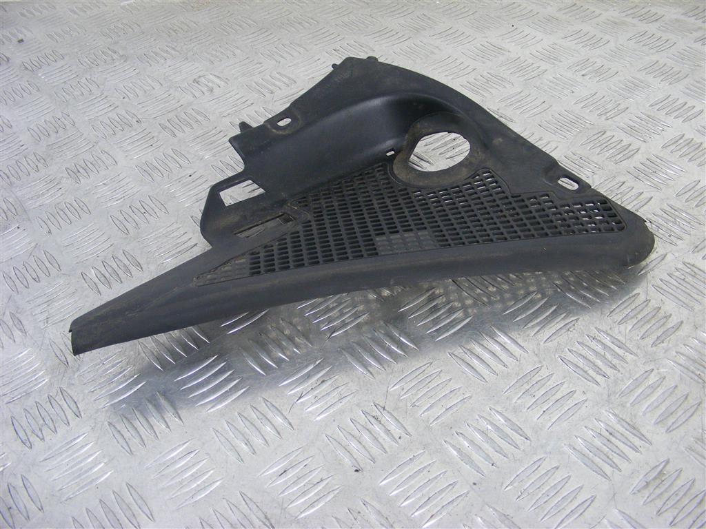 Дождевик Renault Scenic 3 (2008-2015) 668620010