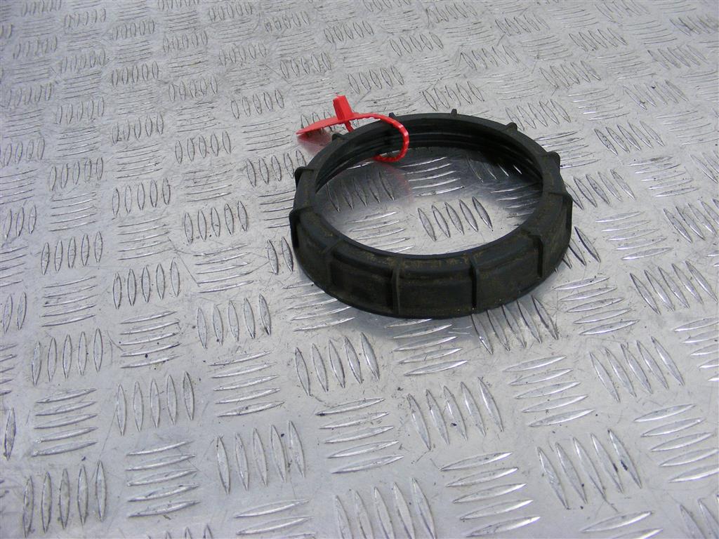 Гайка топливного насоса Renault Scenic 1 (1996-2003) 09701687000