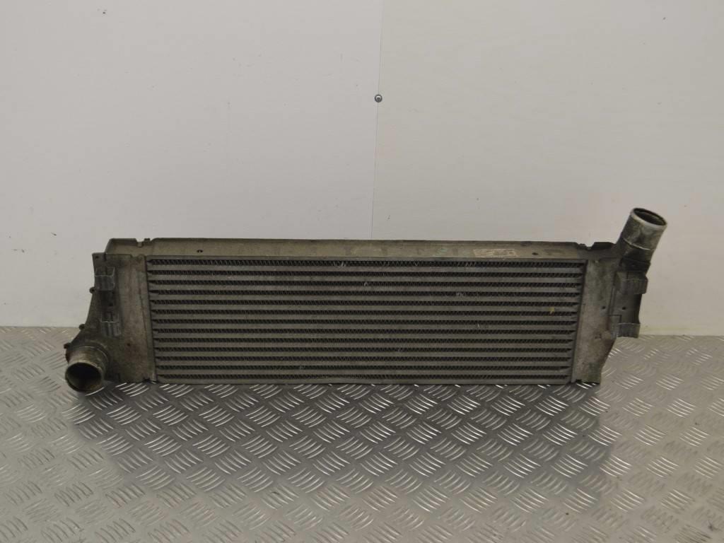 Интеркулер Renault Scenic 2 (2003-2009) 8200700172