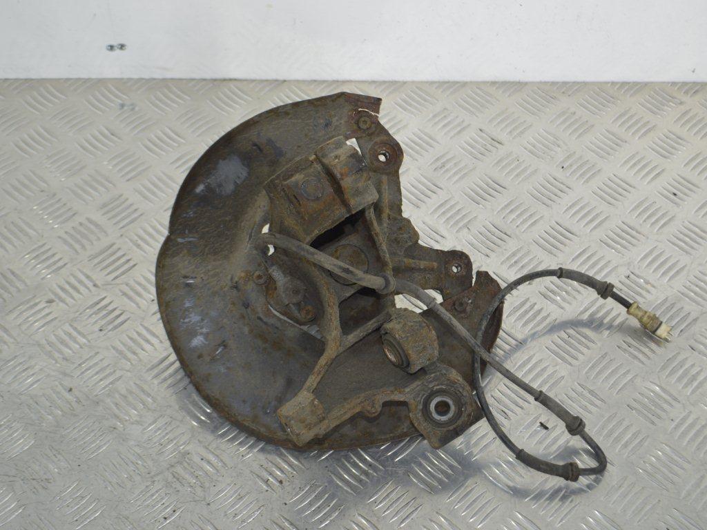 Кулак задний левый