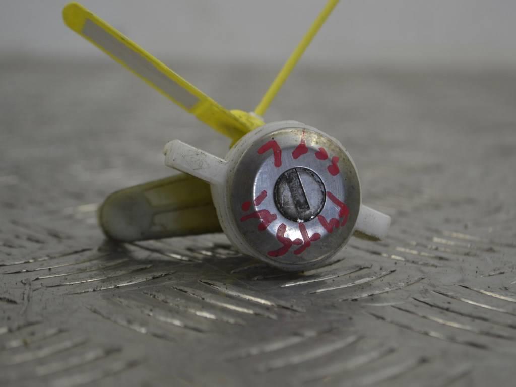 Личинка дверного замка Renault Scenic 1 (1996-2003) 7700838540