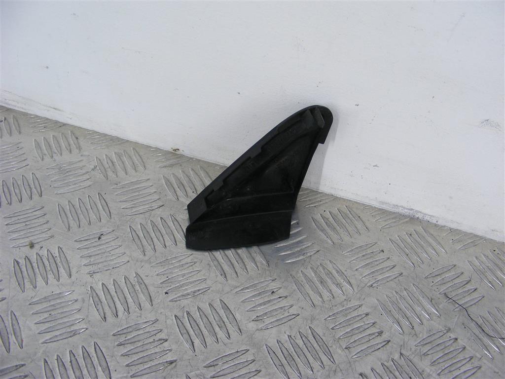 Молдинг (накладка кузовная)