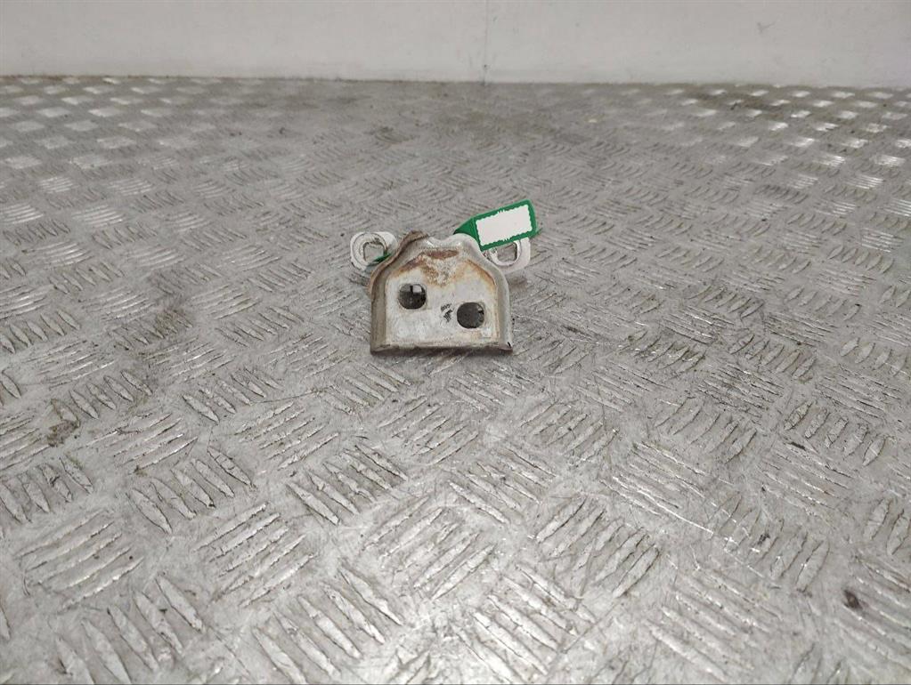 Петля двери передней правой