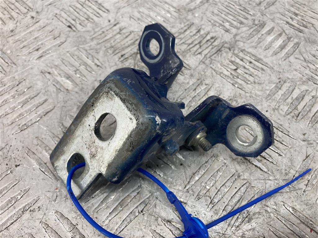 Петля двери передней правой