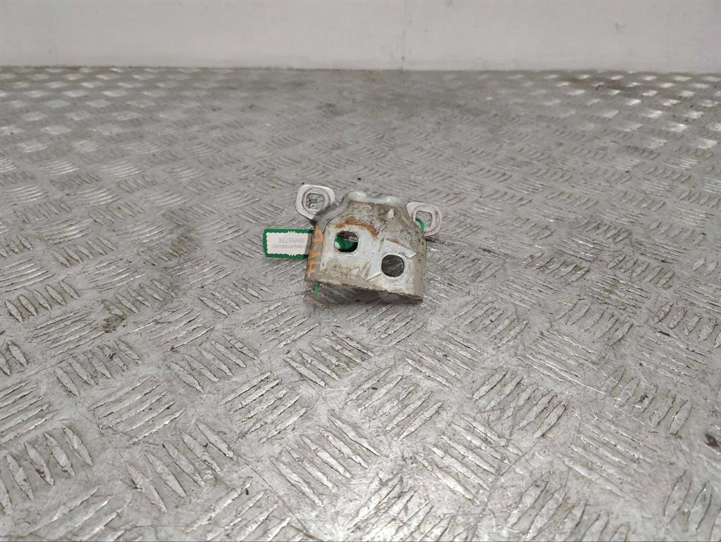 Петля двери задней левой