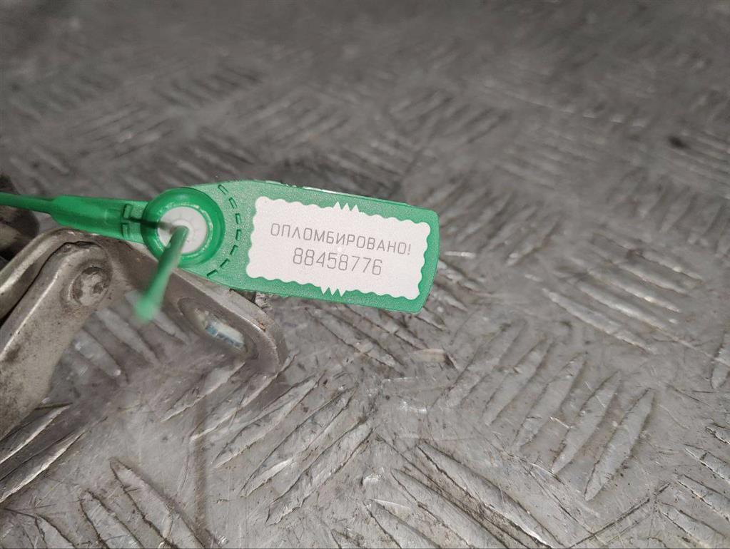 Петля двери задней левой