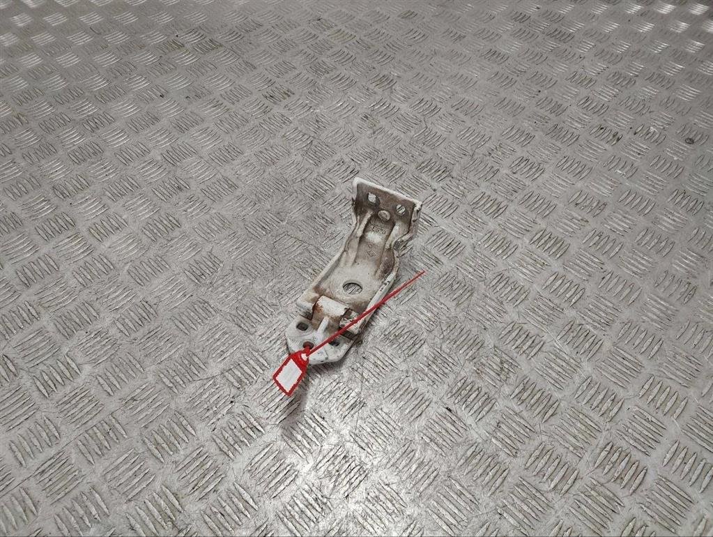 Петля двери задней правой