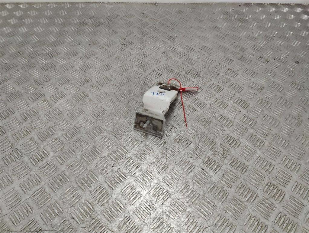 Петля двери задней правой