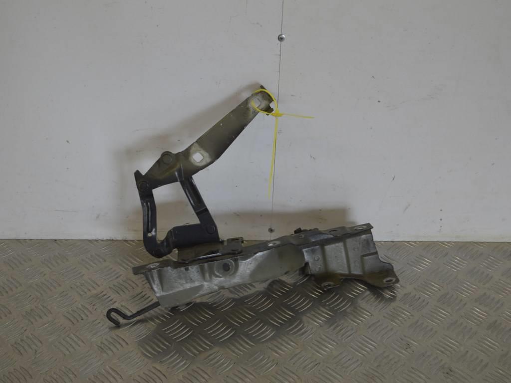 Петля капота правая Renault Scenic 2 (2003-2009)