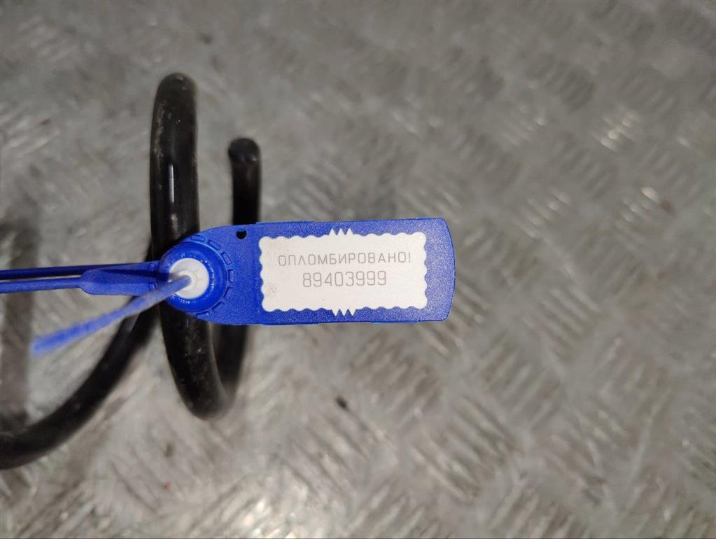 Пружина задняя