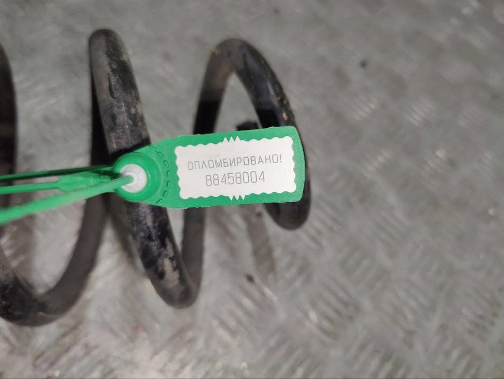 Пружина задняя