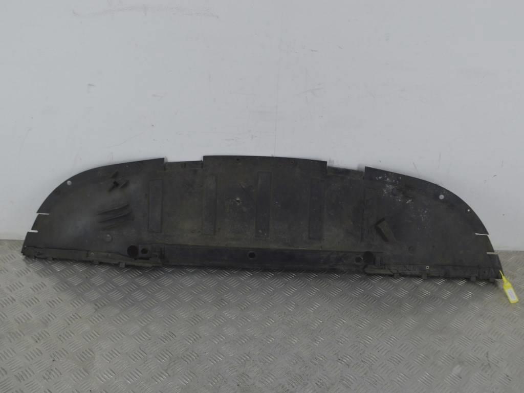 Защита бампера переднего Renault Scenic 2 (2003-2009) 8200142655